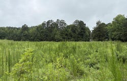 County Rd 42, Calhoun, TN 37309
