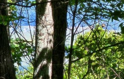 Bluffview Dr, Dunlap, TN 37327