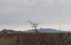 SW CANDELA Rd, Deming, NM 88030