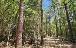 1 Mcnair Springs Road, Magee, MS 39111
