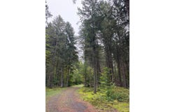 Millwood Hill Rd, Ohio, NY 13324