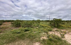 County Rd 408, Eldorado, TX 76936