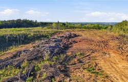 Highway 269, Parrish, AL 35580