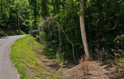 Fiesta Blvd, Sevierville, TN 37876