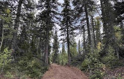 Alletha Highway 550, Silverton, CO 81433