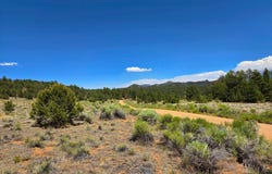 3641 Elkhorn Rd, Cotopaxi, CO 81223