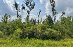 CR 51 N, Jasper, FL 32052