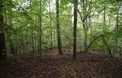 Raintree Rd, Roanoke, VA 24018