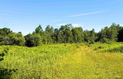 Heald Road lot: 3, Cavendish, VT 05142