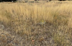Meadowview Drive lot: 2, Chiloquin, OR 97624