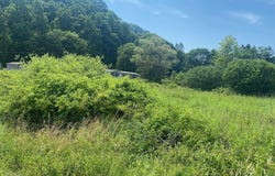 Grass Lick Run, Montrose, WV 26283