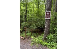 Tbd Cove Creek Rd, Bastian, VA 24314