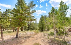 107 Miami Ct, Red Feather Lakes, CO 80545