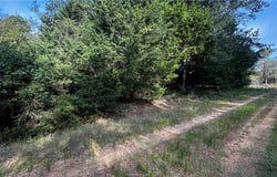 Overhill Circle, Hilltop Lakes, TX 77871