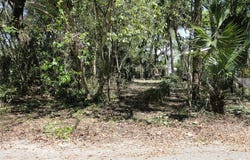 257 7th St, Apalachicola, FL 32320