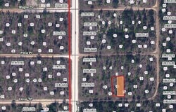 LIME Street, INTERLACHEN, FL 32148