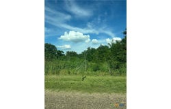 County Road 287, Marlin, TX 76661