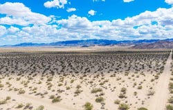 62 Lucille Lane, Joshua Tree, CA 92252
