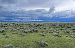 Tract 35 Monte Drive, Wisdom, MT 59761