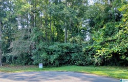 LUCILLE CIRCLE lot: 0, ROANOKE, AL 36274