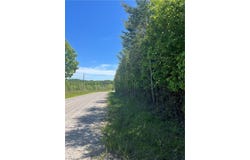 Palmer Road, Westfield, NC 27053
