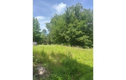 Dock Drive/Cypress Road, BUCHANAN, TN 38222