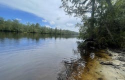 TBD8 Francis Marion Dr., Georgetown, SC 29440