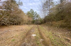 Co. Rd. 9, Eldridge, AL 35554