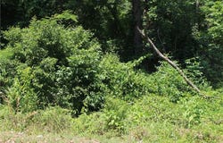 1805 E Commerce Avenue, High Point, NC 27260