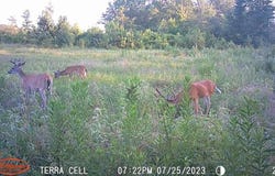FM 1326, DeKalb, TX 75559
