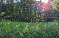 Rolling Hill Drive, Forest, VA 24551