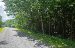 MAPLE DEL Lane, OAKLAND, MD 21550