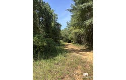 Martin Road;, Greensboro, AL 36744