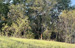 Hwy 9, BELDEN, MS 38826