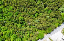 Stoneville, NC 27048