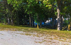310 Bee Tree Lane, Ellston, IA 50074
