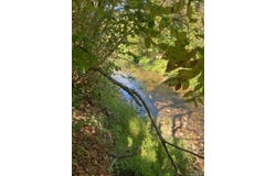 Polk Road 67, Mena, AR 71953