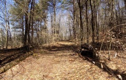 Summit Hill Rd. Lot 3, Washington, MA 01223