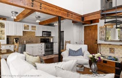 1024 E Cooper Avenue, Aspen, CO 81611