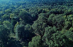 Scottish Trail, Bismarck, AR 71929-0000
