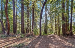 4419 Trout Gulch, Aptos, CA 95003