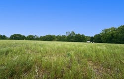 258 Whiting Road, Lavonia, GA 30553