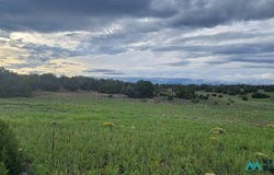 115 Cimarron Drive, Quemado, NM 87829
