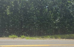 23075 Hwy 90 W, Ravenden, AR 72459