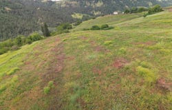 American Ridge Rd (Parcel 10), Kendrick, ID 83537