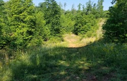 INDIAN SUMMER Ln, Ferrum, VA 24088