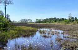 Corral Road, Milton, FL 32583
