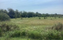 Fm 712, Marlin, TX 76661
