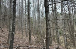 Tower Rd, Galax, VA 24333