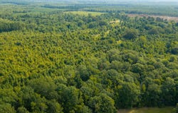 339 Nevada 2, Waldo, AR 71770